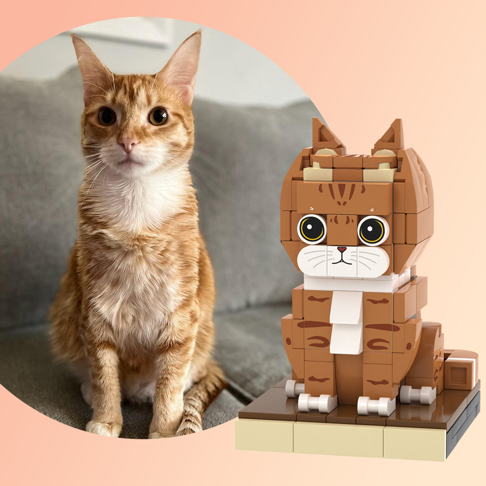 Orange Cat 1 Cat Full Body Customizable Brick Figure