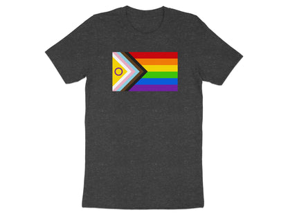 Dark grey t-shirt with Progress Pride flag on the chest.