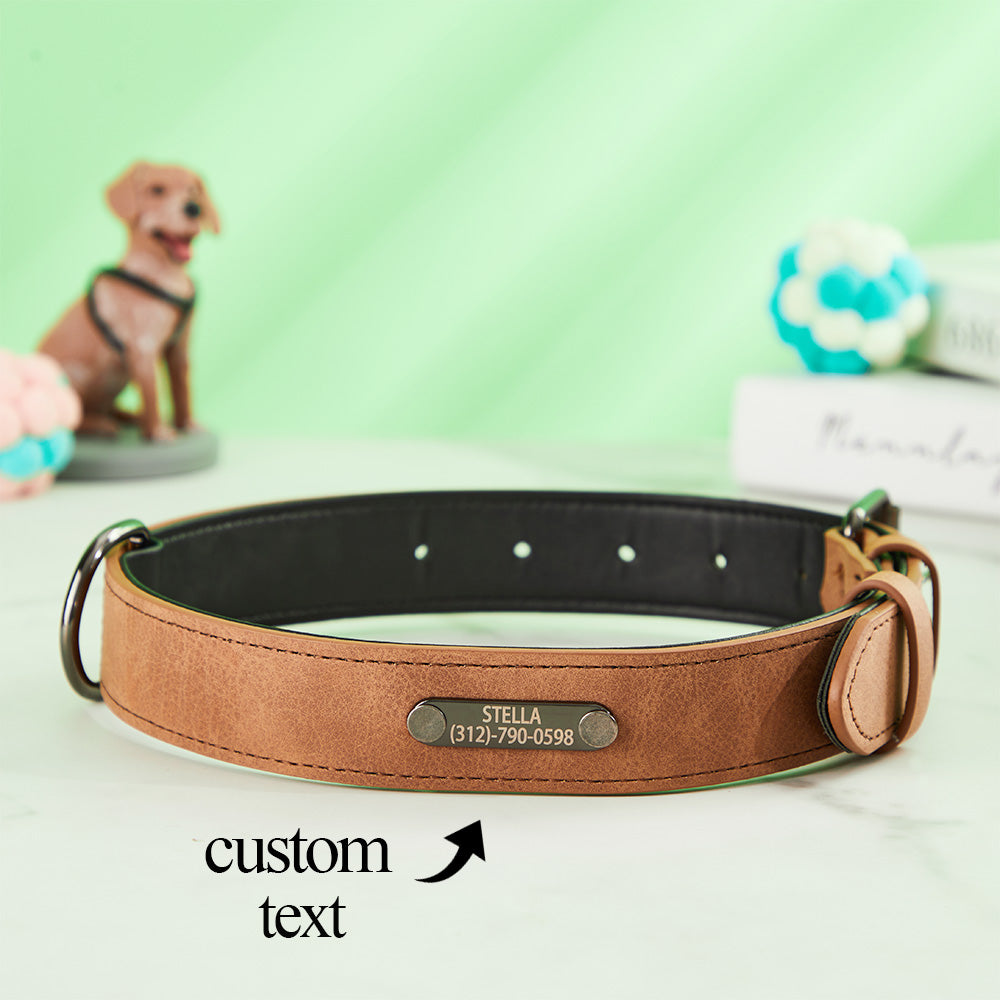 Custom Engraved Leather Dog Collar