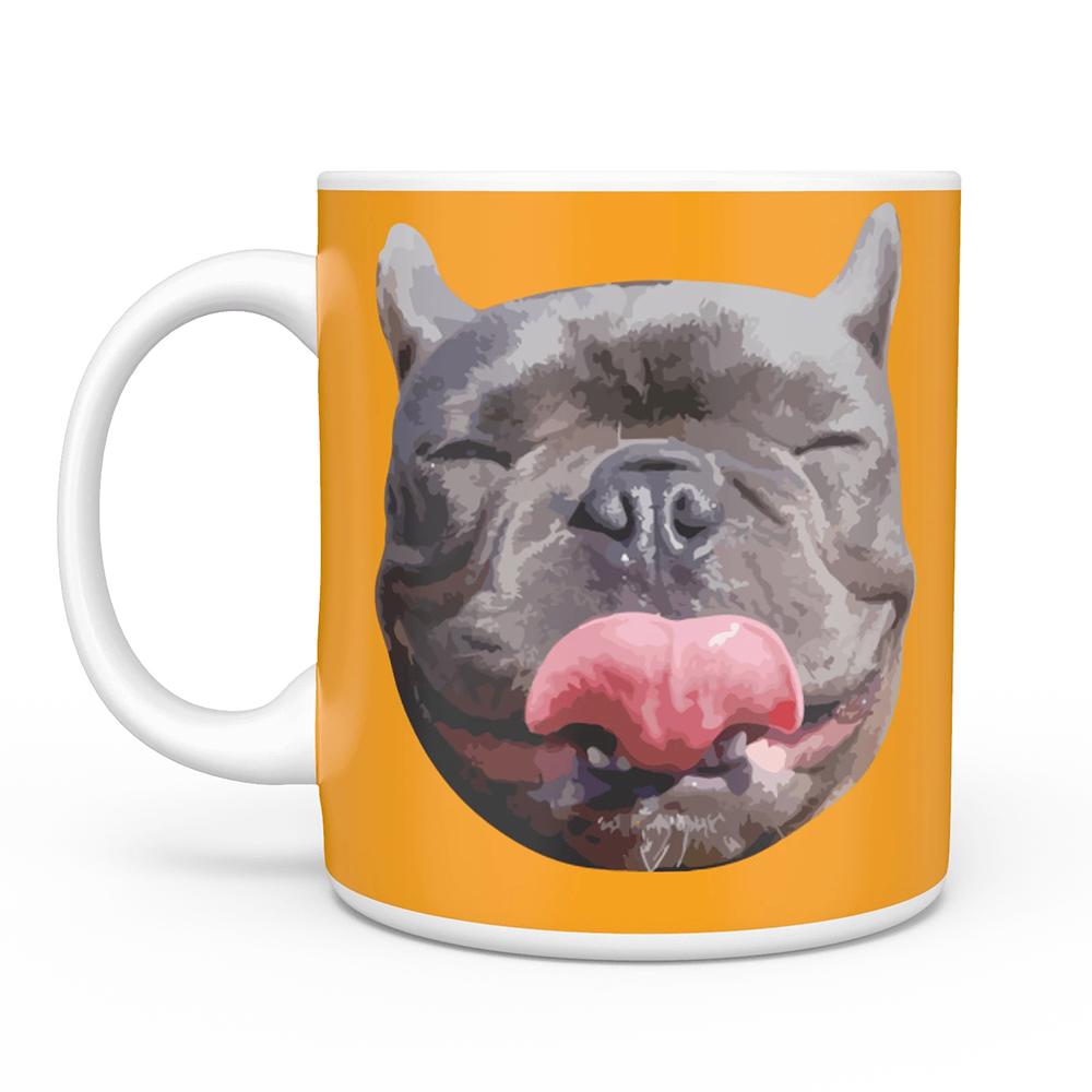 Pet Face Photo Mug